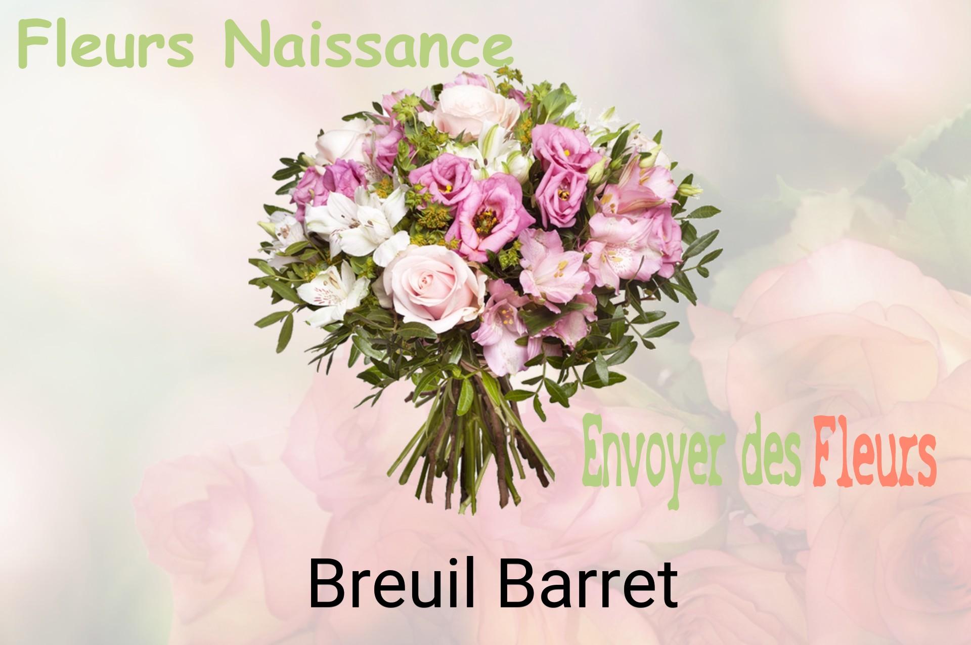 Bouquet de fleurs de naissance livré à Breuil-Barret