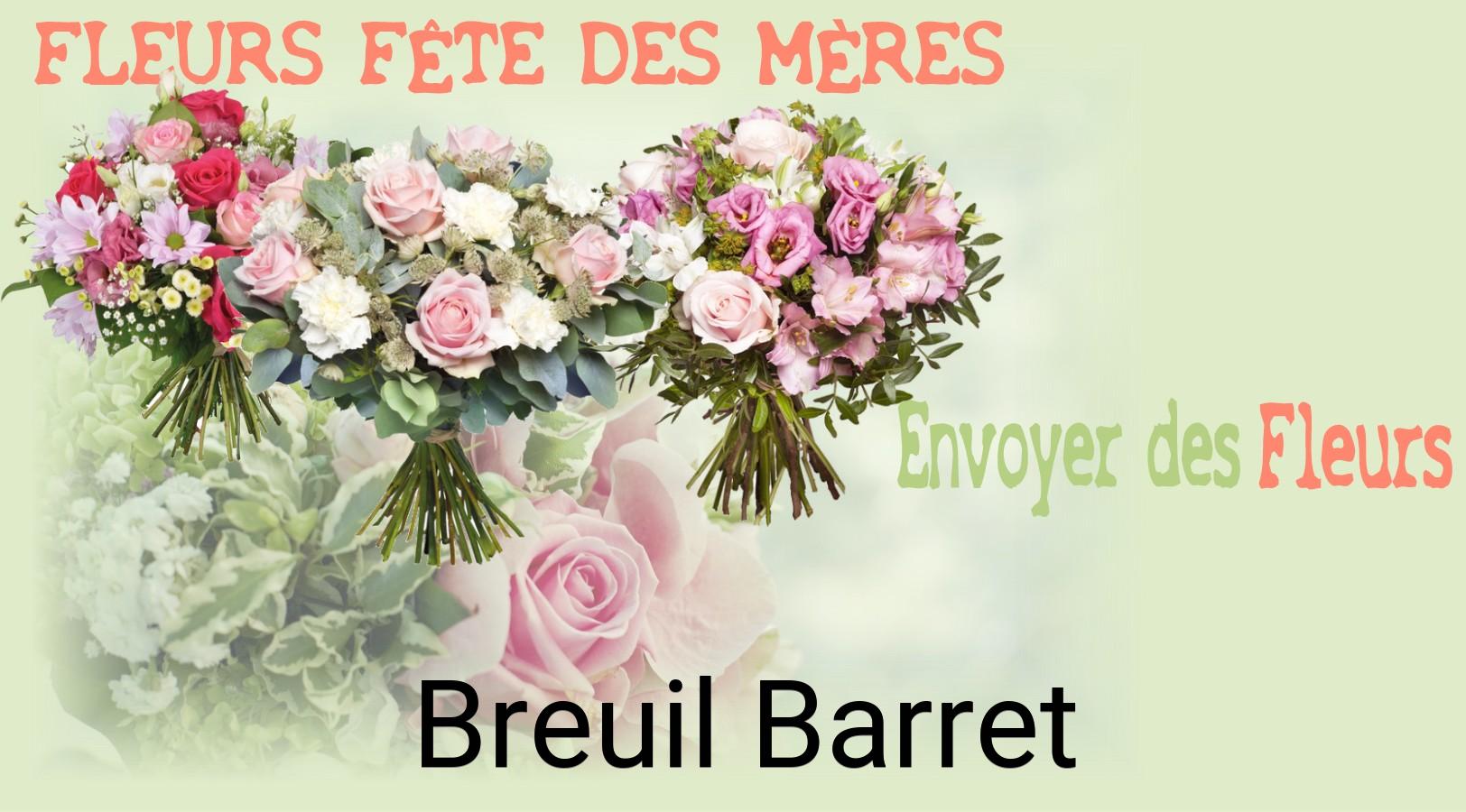 Bouquet de Fête des Mères livré à Breuil-Barret